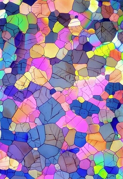 Caffeine crystals, light micrograph