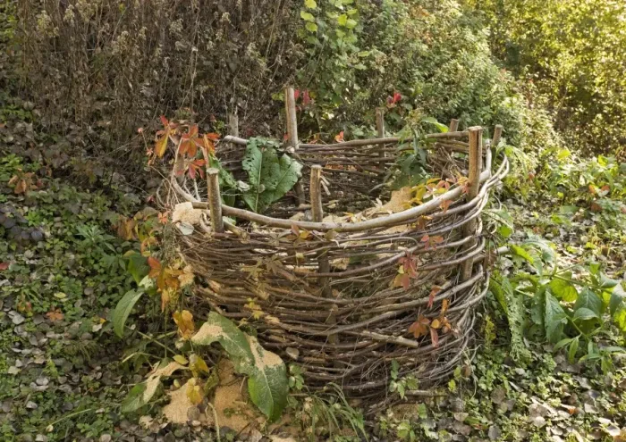 Framed Print : Coppiced Hazel Compost Bin Print