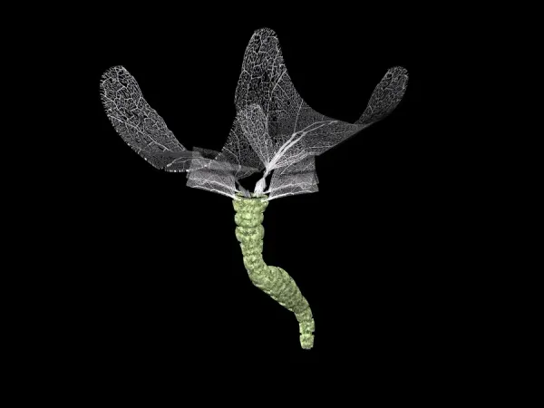 Deep Ocean Alien Life Form Print Hydrothermal Vent Art