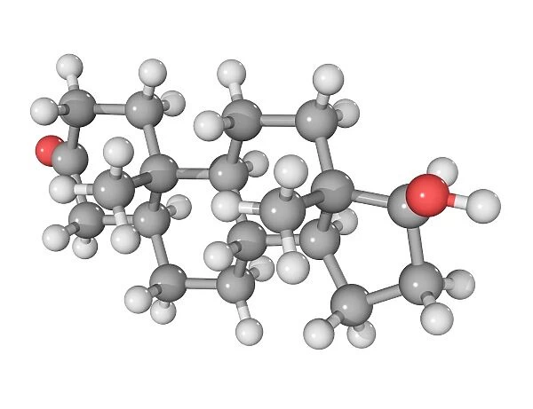 DHT hormone, molecular model