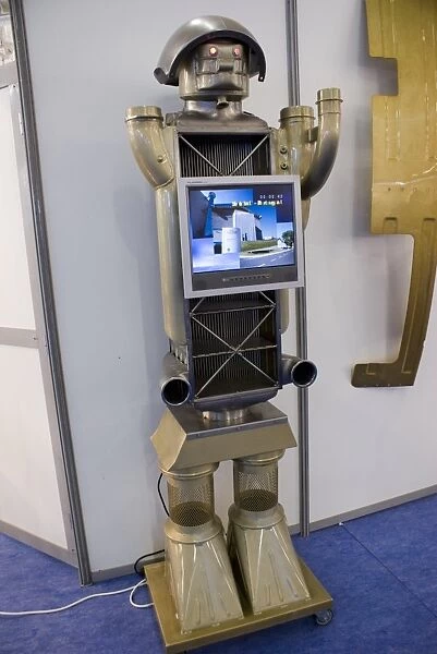 Display robot
