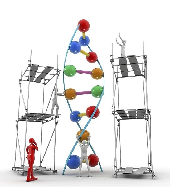 DNA construction, artwork