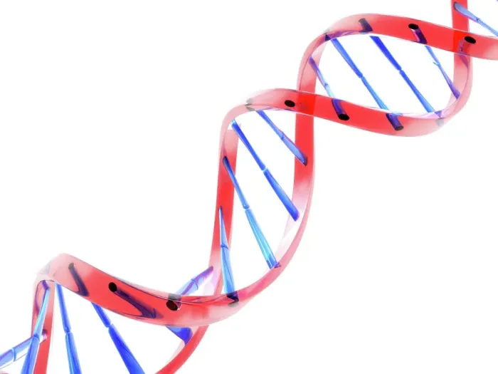 Framed Print : Double Helix DNA Molecule Print Framed Print : Double Helix DNA Molecule Print