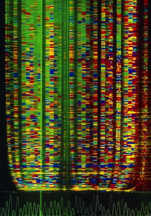 Framed Print : DNA Sequence Genetic Code Print Framed Print : DNA Sequence Genetic Code Print
