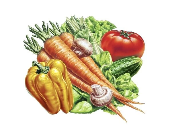 Fresh fruit and vegetables, artwork F007  /  8205