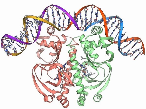 Gene activator protein F006  /  9269
