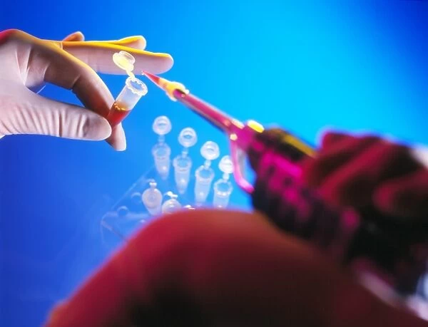 Gloved hands pipetting a liquid into a vial