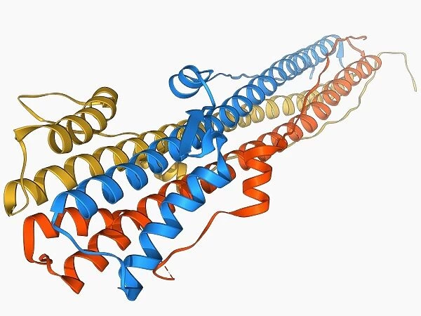 Haemagglutinin protein subunit F006  /  9479