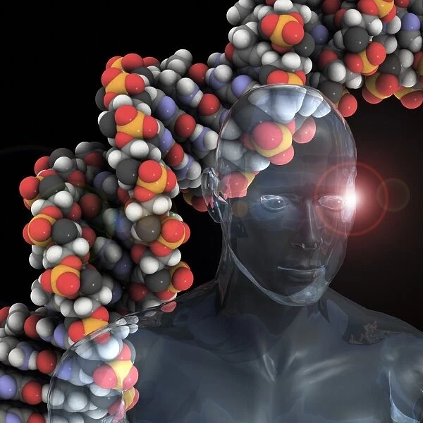 Human genome, conceptual artwork