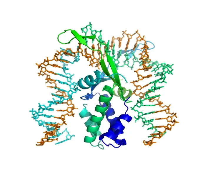 Framed Print : Integration host factor and DNA Print