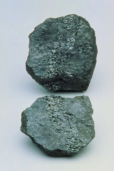 Two lumps of high-grade anthracite coal