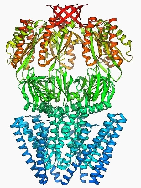 MscS ion channel protein structure F006  /  9626