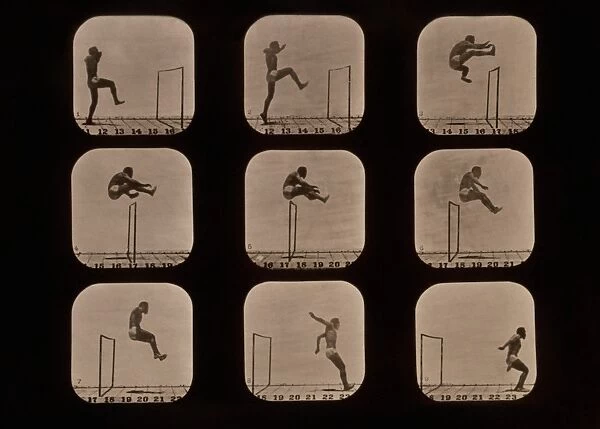 Muybridge motion study, 1870s C016  /  4562