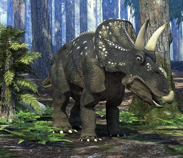 Nedoceratops dinosaur, artwork