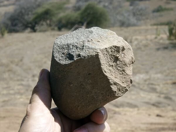 Oldowan stone tool C015  /  6435