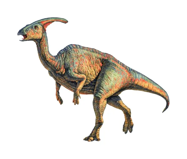 Parasaurolophus dinosaur