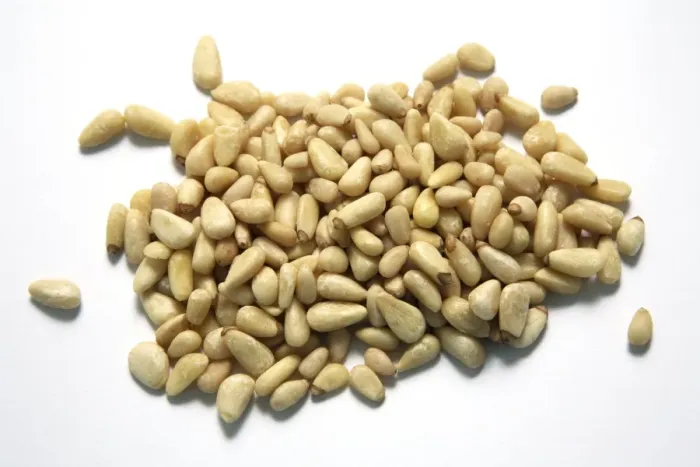 Framed Print : Pine Nuts Print Framed Print : Pine Nuts Print