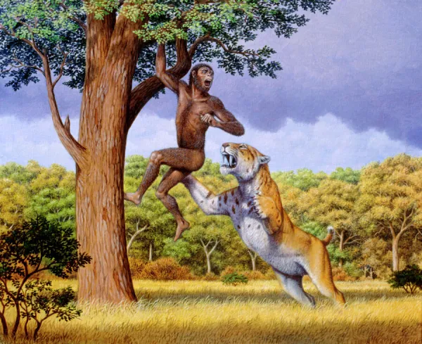 Scimitar cat attacking a hominid