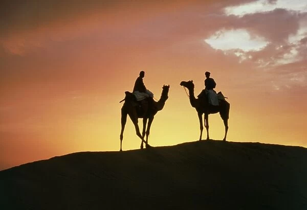 Silhouetted camel riders on a sand dune at sunset
