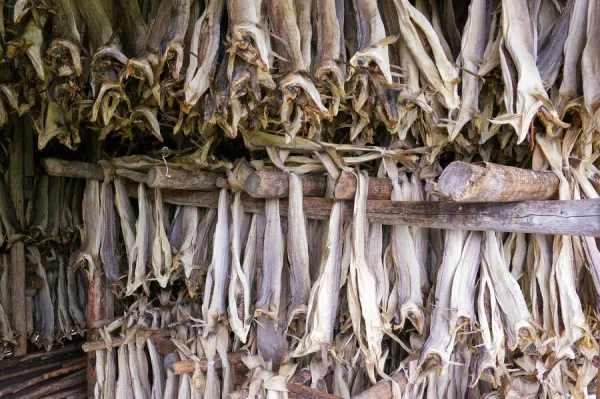 About our Norwegian & Icelandic Stockfish