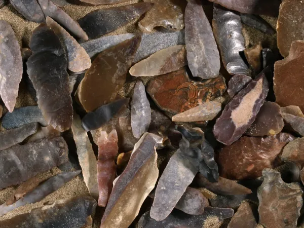 Stone-age flint fragments C014  /  1020