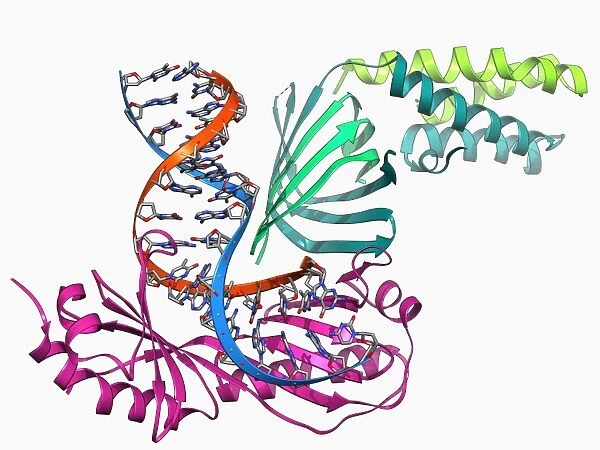 TATA box-binding protein complex F006  /  9551