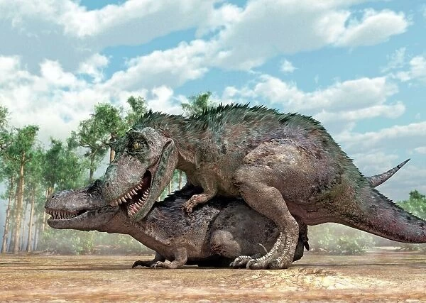 Tyrannosaurus rex dinosaurs mating