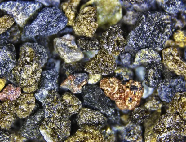 Volcanic Ash Rock Pompeii Of Prehistoric Plants” Unlocks