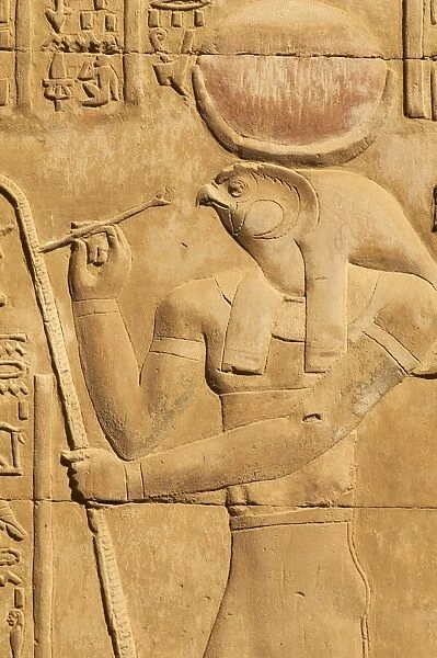 Bas relief, Temple of Sobek and Haroeris, Kom Ombo, Egypt, North Africa, Africa
