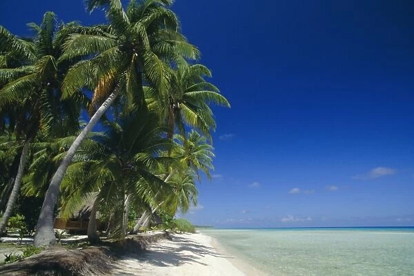Beach, Rangiroa Atoll