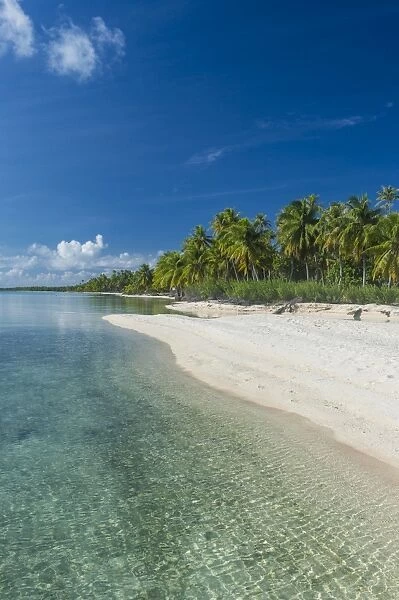 Beautiful palm fringed white sand beach in the turquoise waters of Tikehau, Tuamotus