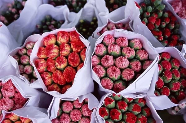 Carnations, flower market, Mong Kok, Kowloon, Hong Kong, China, Asia