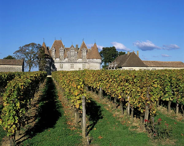 Chateau de Monbazillac and vineyard near Bergerac, Dordogne, Aquitaine, France, Europe