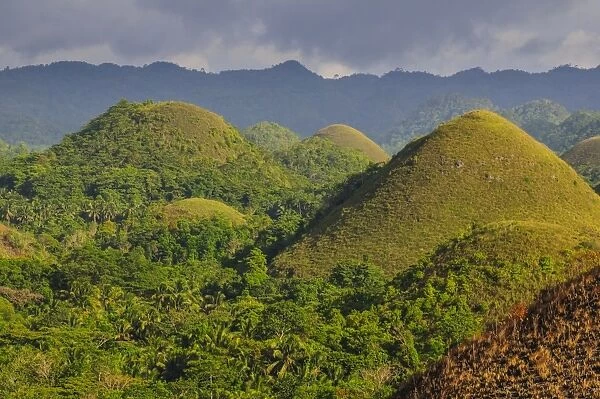 Chocolate Hills, Bohol, Philippines, Southeast Asia, Asia