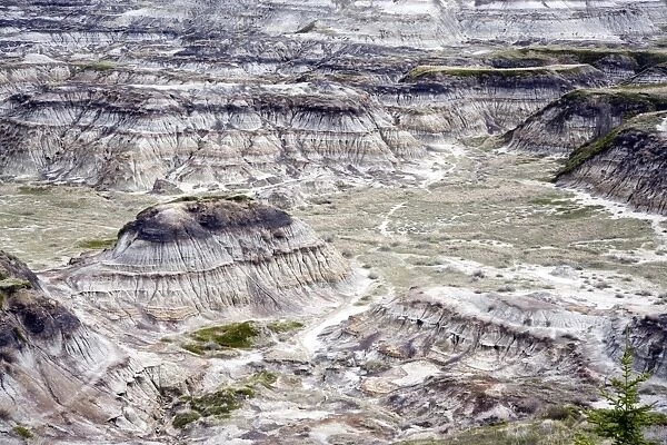 Dinosaur Valley, Drumheller, Alberta, Canada, North America