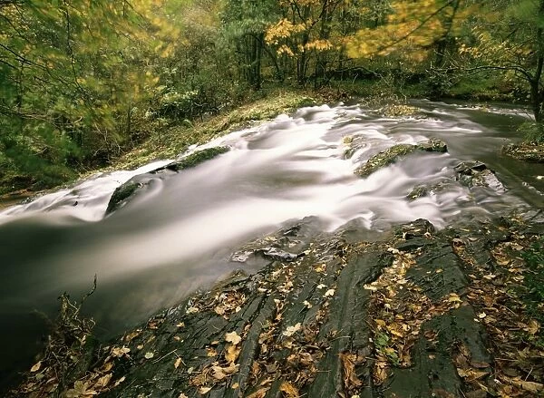 Force Falls in autumn, Ruscand Valley, Lake District National Park, Cumbria