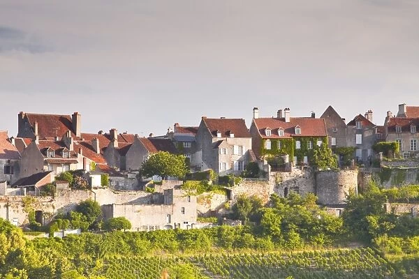 Le Clos Vineyard below the hilltop village of Vezelay in Burgundy, France, Europe
