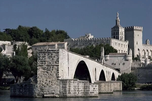 Le Pont d Avignon, Avignon, Vaucluse, Provence, France, Europe