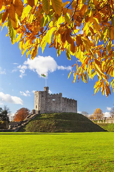 Norman Keep in autumn, Cardiff Castle, Cardiff, Wales, United Kingdom, Europe