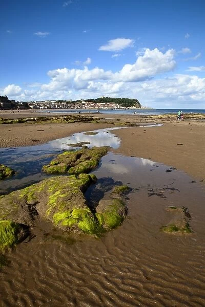 Rocks and Tide Pools in South Bay, Scarborough, North Yorkshire, Yorkshire, England, United Kingdom, Europe