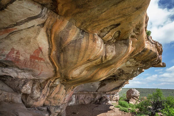 San rock art, Cederberg mountains, Western Cape, South Africa, Africa