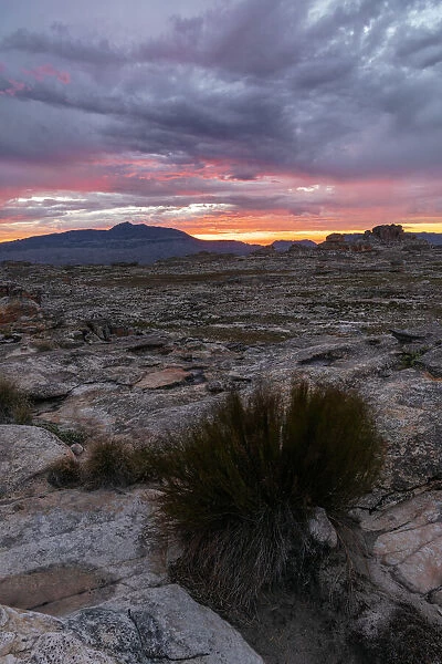 Sunset over Cederberg Mountains, Western Cape, South Africa, Africa