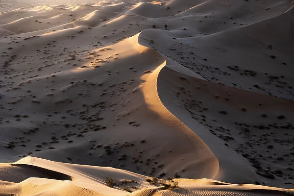 Sunset light on the sand dunes of Rub al Khali desert, Oman, Middle East