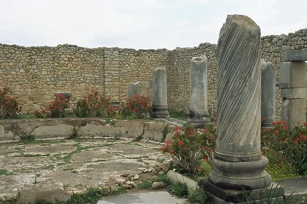 Volubilis, UNESCO World Heritage Site