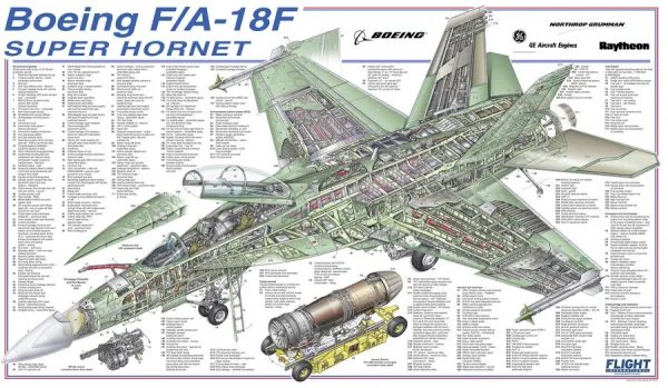 Boeing F  /  A-18F Super Hornet Cutaway Drawing