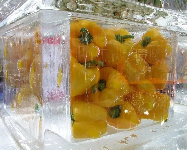 Yellow peppers set in ice