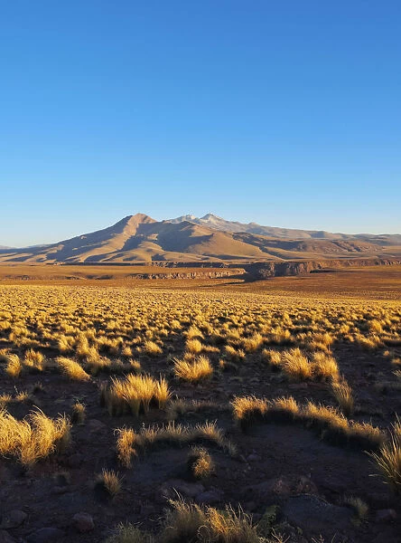 Bolivia, Potosi Departmant, Sur Lipez Province, Eduardo Avaroa Andean Fauna National
