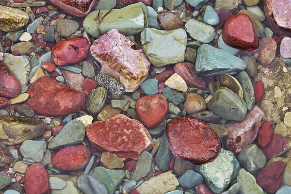 Brook impression with colourful stones - USA, Montana, Glacier National Park