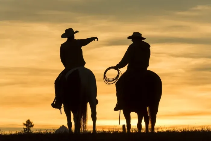 Silhouette De Scène De Ranch