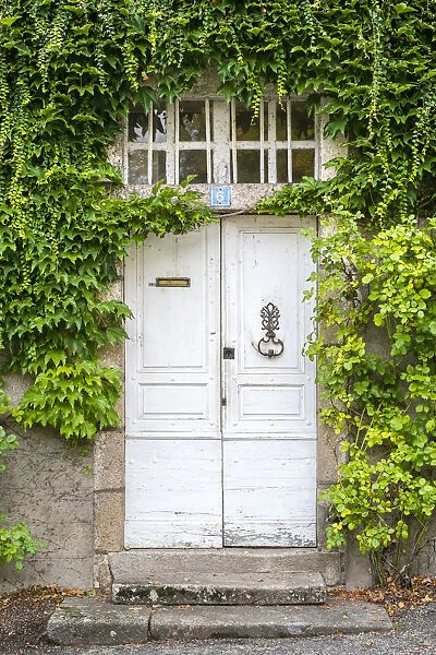 Front door of French house covered in vines (Parthenocissus tricuspidata), Argentat